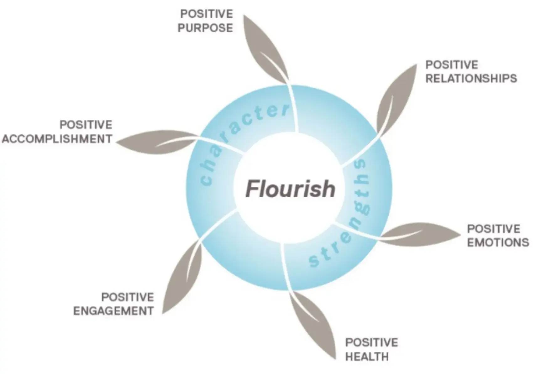 Flourish diagream, showing positive purpose, accomplisment, relationships, emotions, engagement, and health