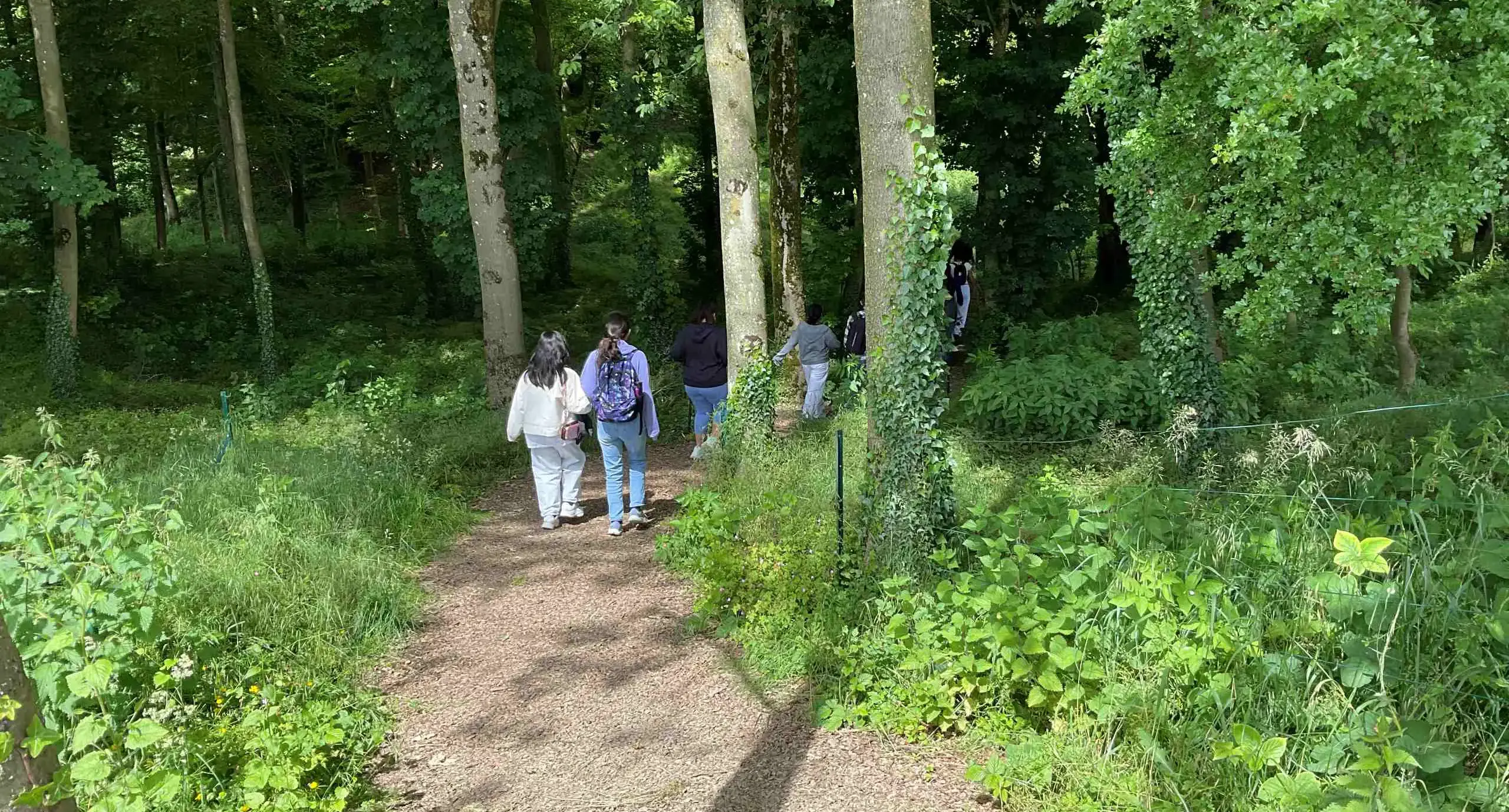 Two students walking through a wood