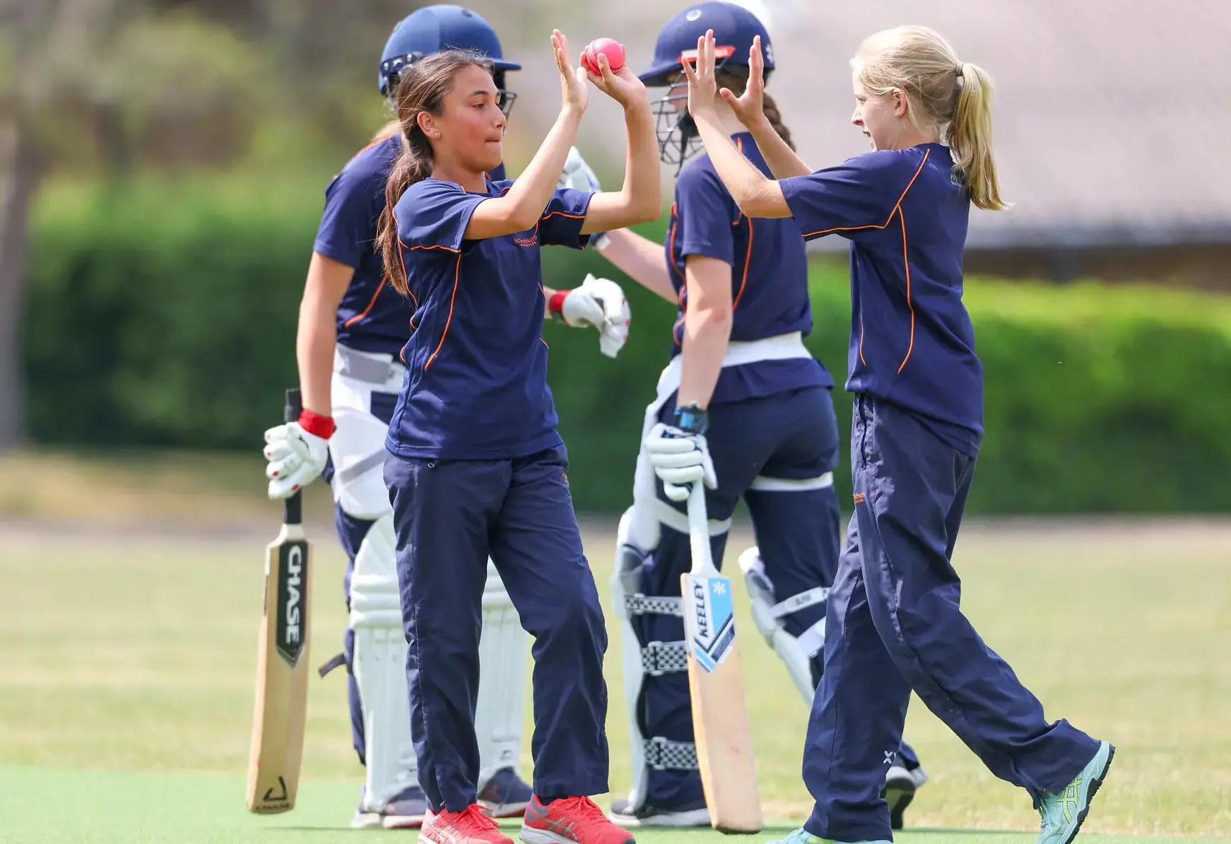 Cricket players high-fiving